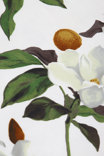 6e5aed3b-ac5e-4c5b-a1ae-d89bbd108cd1