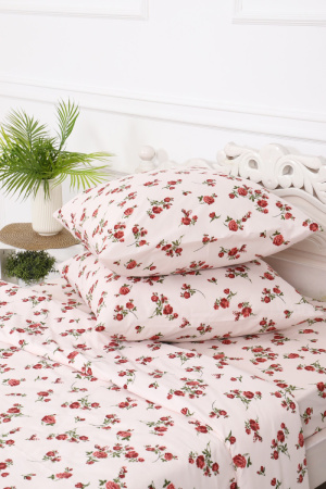 d2d56a07-40f8-4158-a285-c2f008575b6d